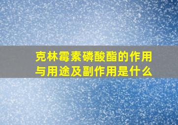 克林霉素磷酸酯的作用与用途及副作用是什么