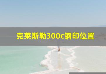 克莱斯勒300c钢印位置