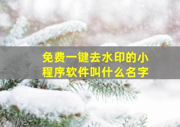 免费一键去水印的小程序软件叫什么名字