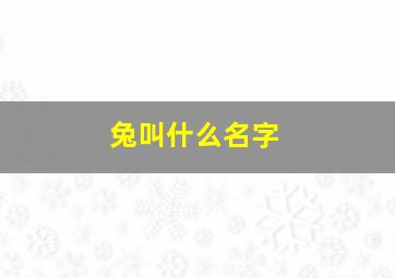 兔叫什么名字