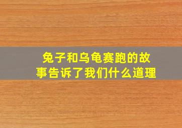 兔子和乌龟赛跑的故事告诉了我们什么道理