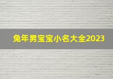 兔年男宝宝小名大全2023