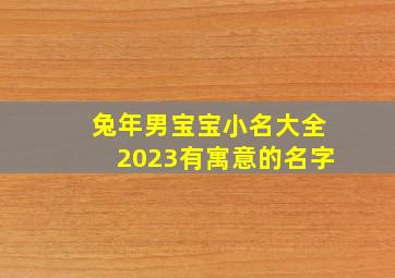 兔年男宝宝小名大全2023有寓意的名字