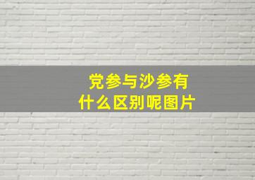 党参与沙参有什么区别呢图片