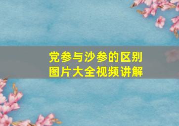 党参与沙参的区别图片大全视频讲解