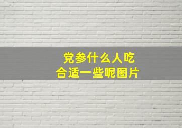 党参什么人吃合适一些呢图片