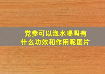 党参可以泡水喝吗有什么功效和作用呢图片