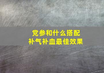 党参和什么搭配补气补血最佳效果