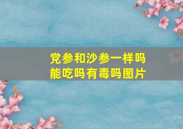 党参和沙参一样吗能吃吗有毒吗图片