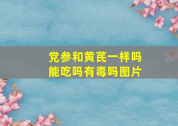 党参和黄芪一样吗能吃吗有毒吗图片