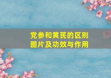 党参和黄芪的区别图片及功效与作用