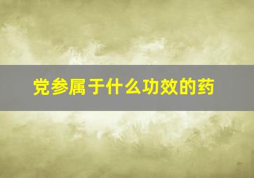 党参属于什么功效的药