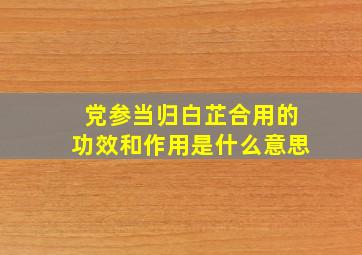 党参当归白芷合用的功效和作用是什么意思