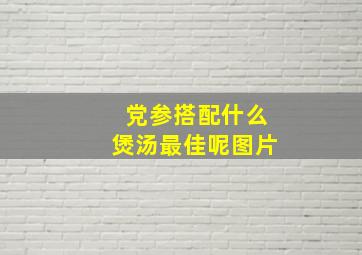 党参搭配什么煲汤最佳呢图片