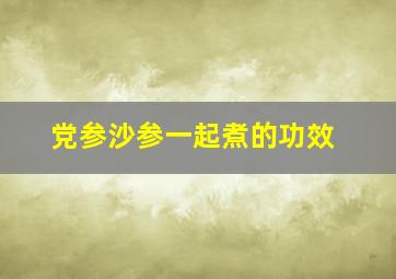 党参沙参一起煮的功效