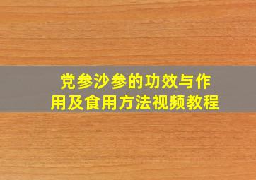 党参沙参的功效与作用及食用方法视频教程