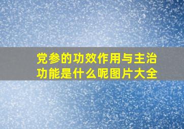 党参的功效作用与主治功能是什么呢图片大全