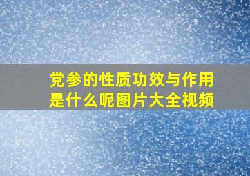 党参的性质功效与作用是什么呢图片大全视频