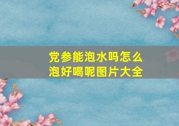 党参能泡水吗怎么泡好喝呢图片大全