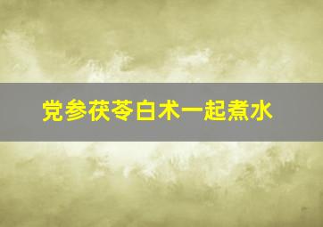 党参茯苓白术一起煮水