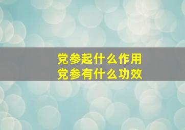 党参起什么作用党参有什么功效