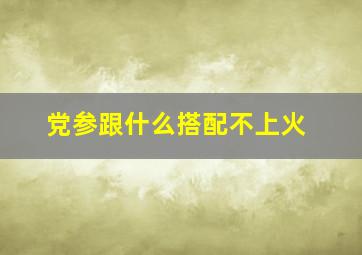 党参跟什么搭配不上火