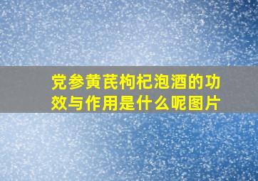 党参黄芪枸杞泡酒的功效与作用是什么呢图片