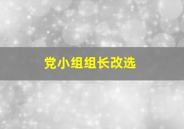 党小组组长改选