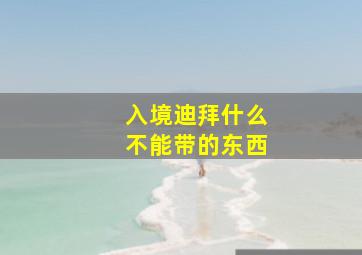 入境迪拜什么不能带的东西