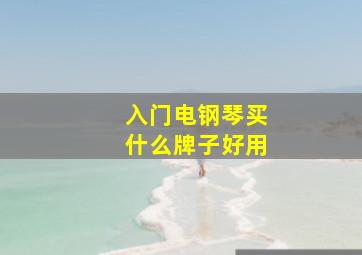 入门电钢琴买什么牌子好用