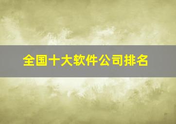 全国十大软件公司排名