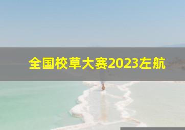 全国校草大赛2023左航