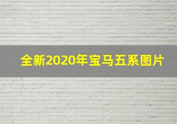 全新2020年宝马五系图片