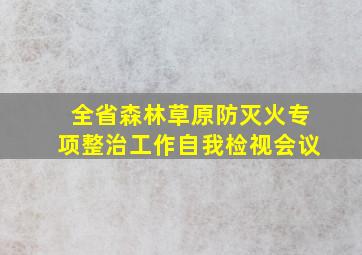 全省森林草原防灭火专项整治工作自我检视会议