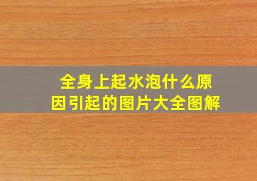 全身上起水泡什么原因引起的图片大全图解