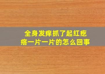 全身发痒抓了起红疙瘩一片一片的怎么回事