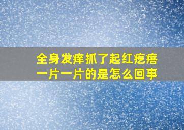 全身发痒抓了起红疙瘩一片一片的是怎么回事