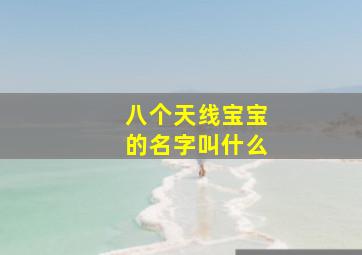 八个天线宝宝的名字叫什么