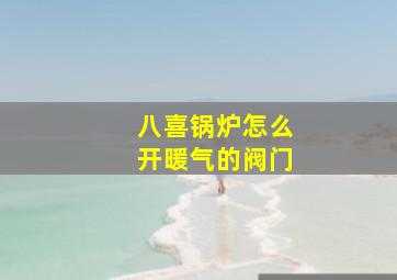 八喜锅炉怎么开暖气的阀门