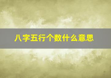 八字五行个数什么意思