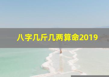 八字几斤几两算命2019