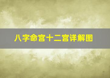 八字命宫十二宫详解图