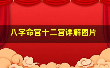 八字命宫十二宫详解图片