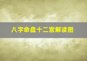 八字命盘十二宫解读图