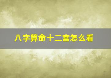 八字算命十二宫怎么看