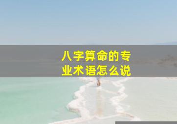 八字算命的专业术语怎么说