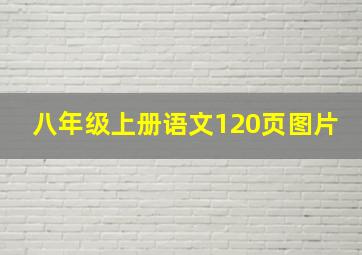 八年级上册语文120页图片