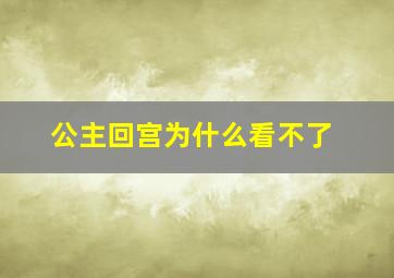 公主回宫为什么看不了