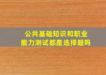 公共基础知识和职业能力测试都是选择题吗