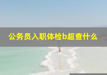 公务员入职体检b超查什么